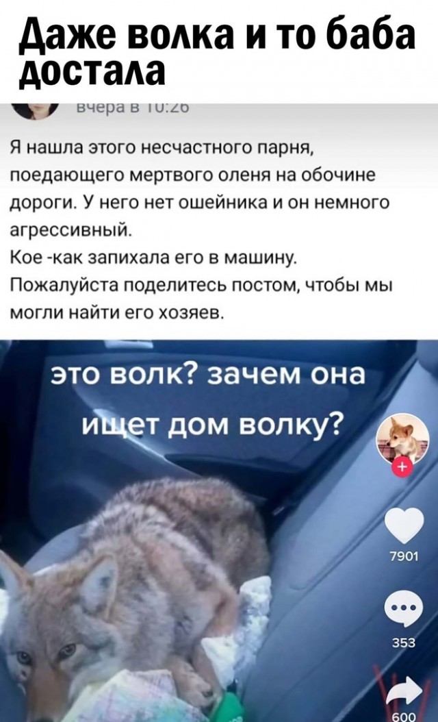 Чуток картинок 09.12.21