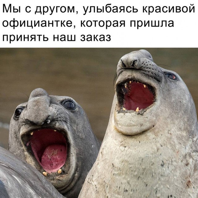 Картинки и мемы для настроения - 10
