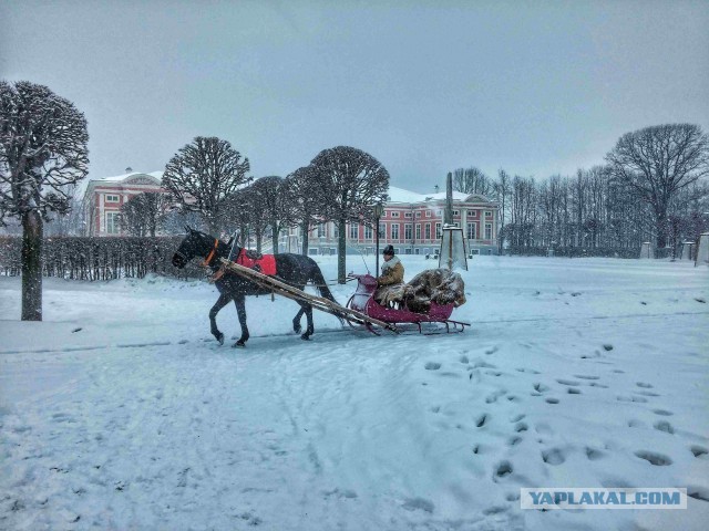 Мое небольшое увлечение. Мобильная фотография