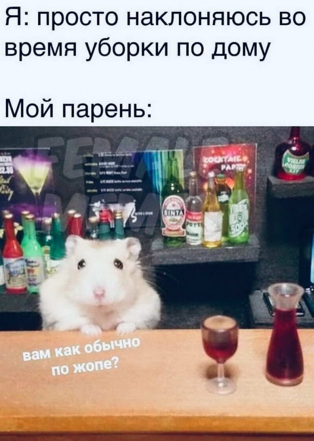 Пятница. И немного слегка пошлых картинок с надписями и без 16+ (25.03)