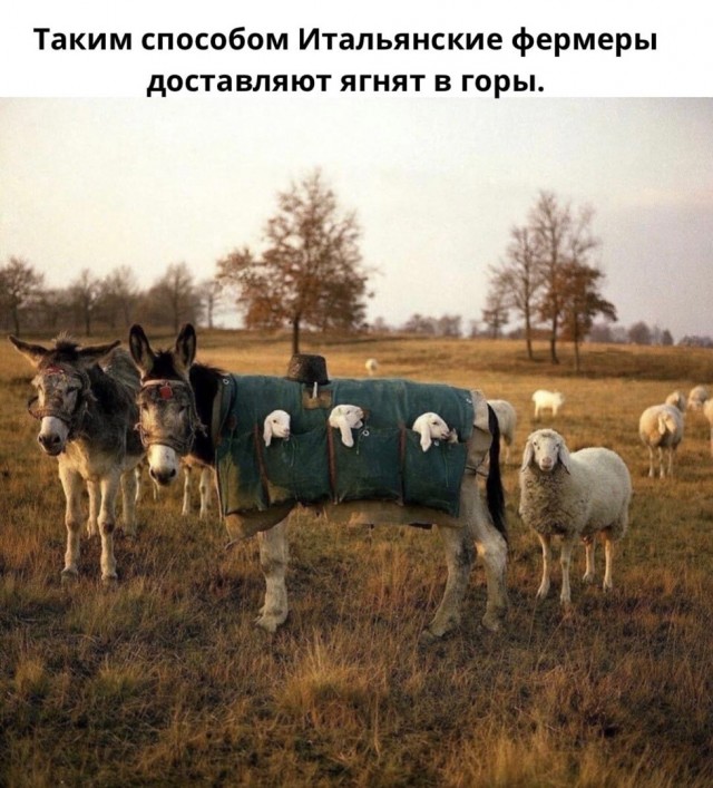 Так себе картинки 04.04.22