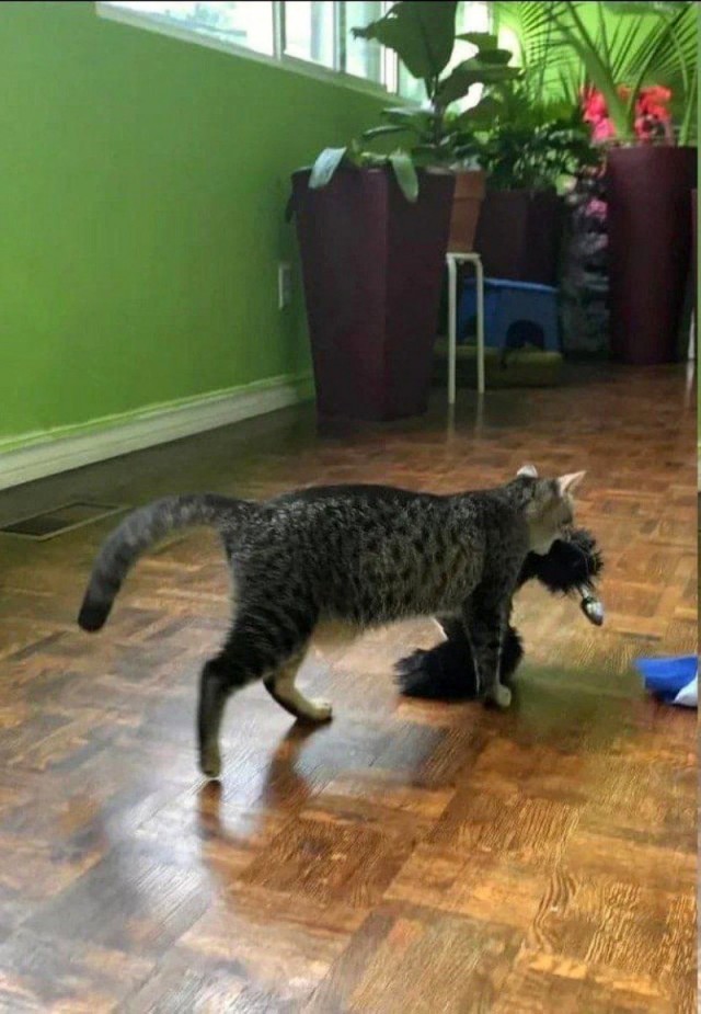 Весёлые картинки 13.04.2022