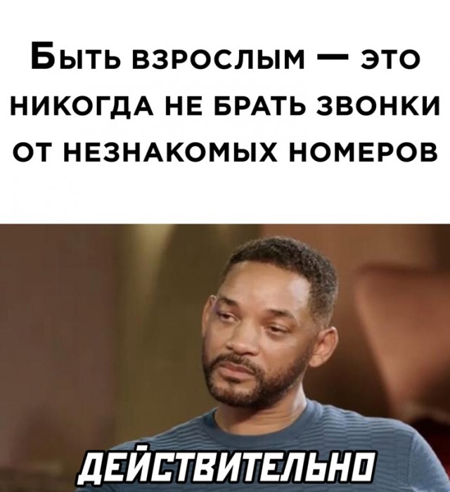 Весёлый полтишок 20.04.22