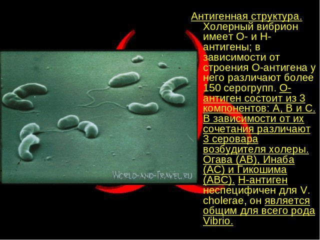 Пандемия. Коронавирус и съехавшие крыши. Россия и мир. Часть 33.
