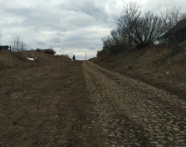 Полевая дорога. Северная Бавария