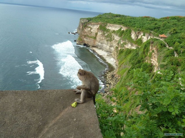 Новый год без ёлочки