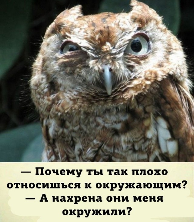 Так себе картинки 29.05.22
