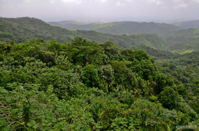 Путешествие по Северной Америке