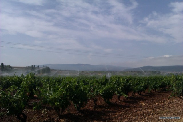 500 км. по Испании пешком