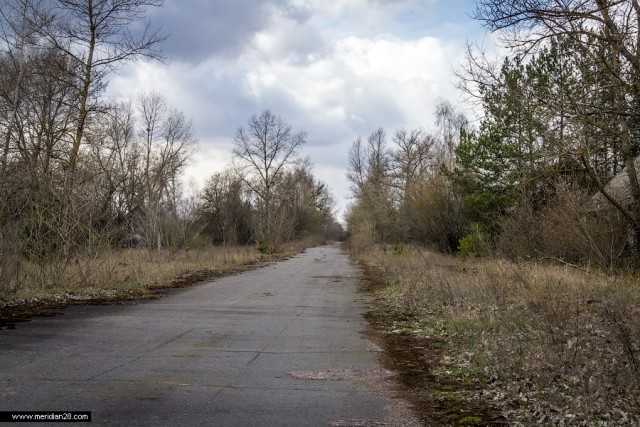 Зона отчуждения. Полесский радиационно-экологический заповедник. д.Погонное (Хойникский р-н, Гомельская обл)