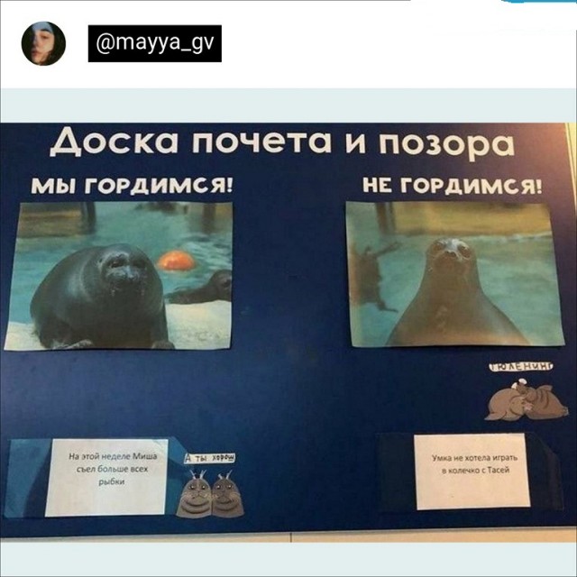 Картинки и мемы для настроения - 009