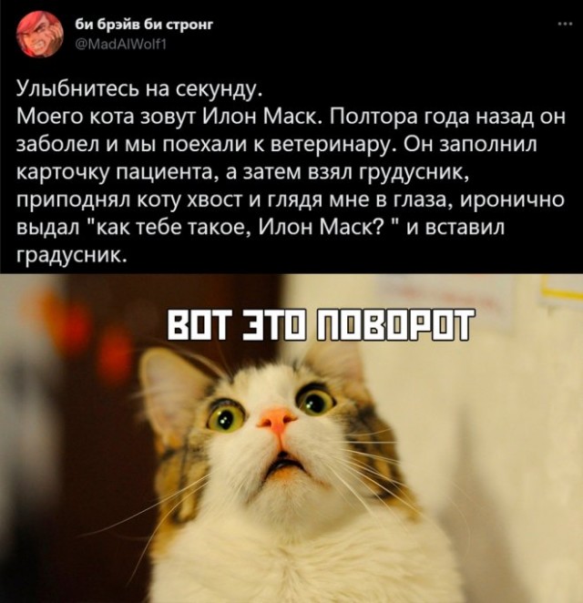 Картинки и мемы. Выходные близко...