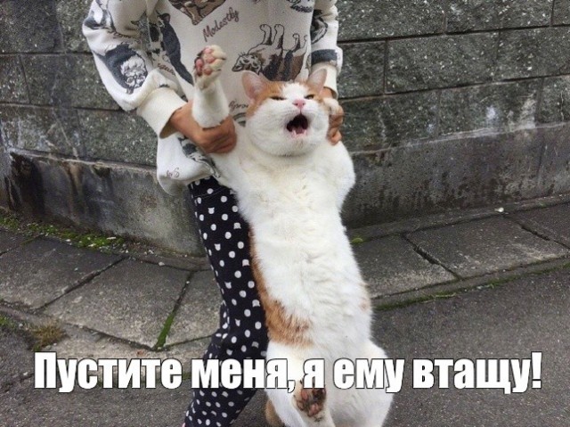 С вертухи