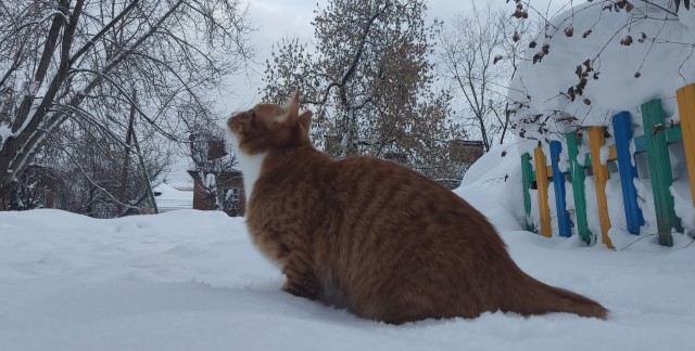 Первый день зимы (+Вивальди)