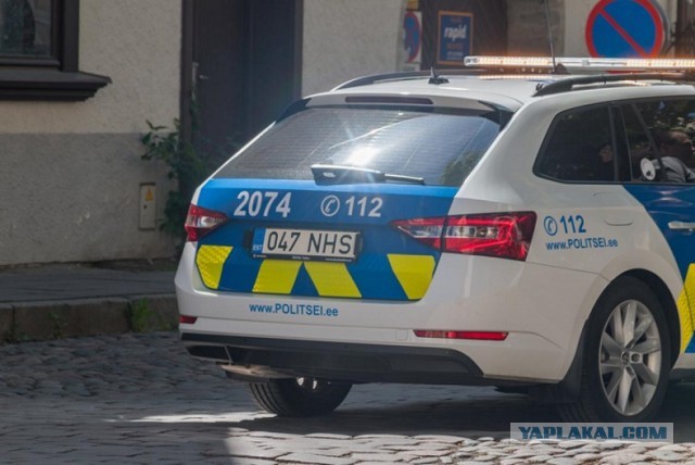 В Эстонии увольняют полицейских «за пророссийскую позицию»