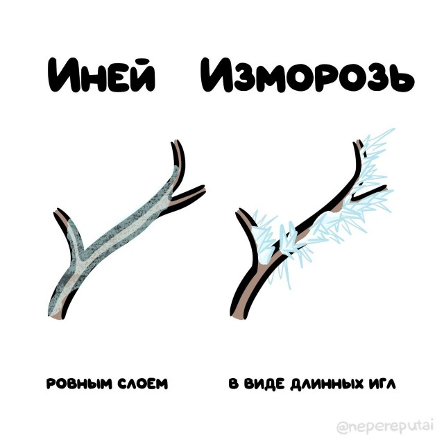 Смотри, Кутузов, не перепутай...