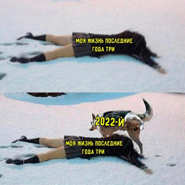Весёлый полтишок 21.02.23