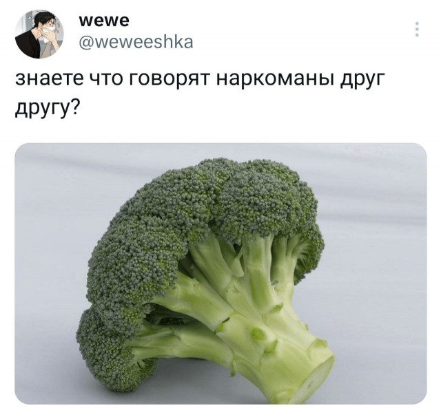 Победная поступь идиотизма по планете – том 13