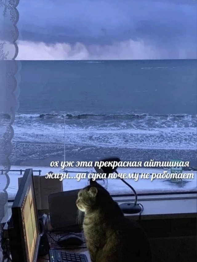 Напишем код
