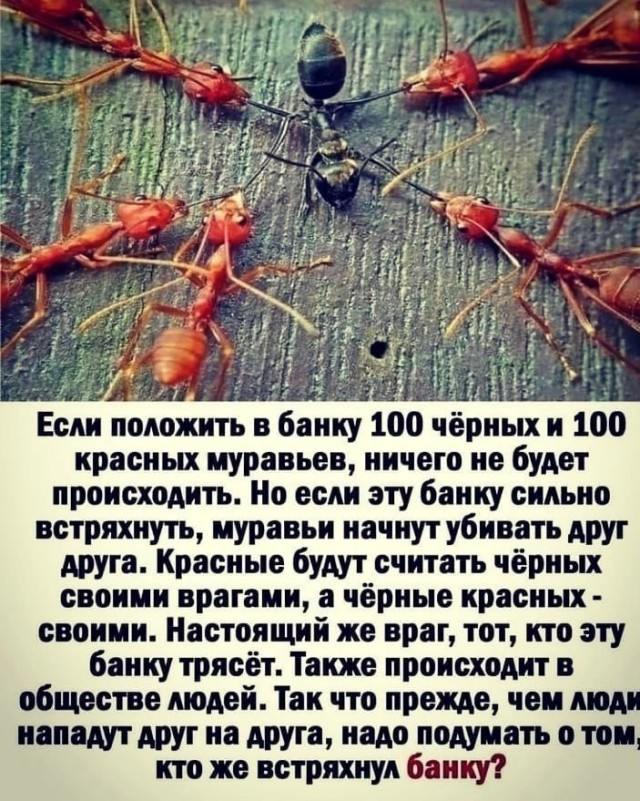 12 лет назад был убит в Москве чеченцем Юсупом Темирхановым.
