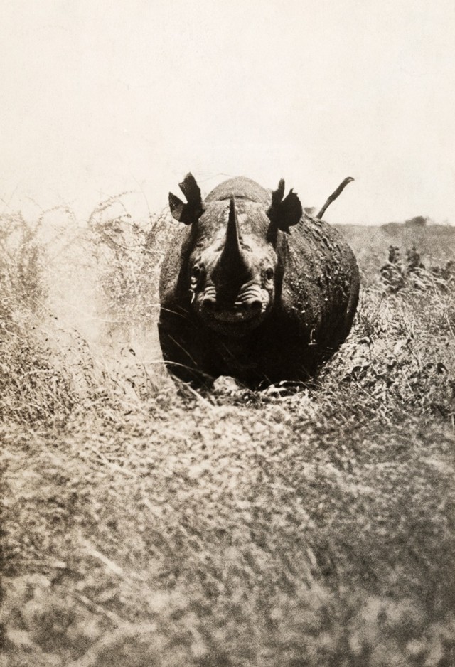 Фотоархив National Geographic: восторг и трепет в фотографиях со всего мира