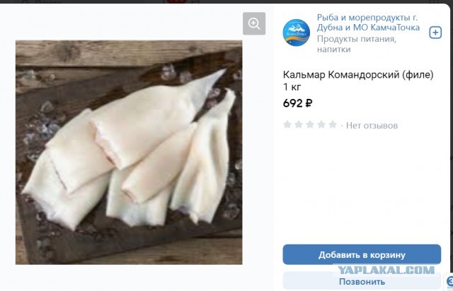 Сходил на рыбалку, поймал маленько кальмара