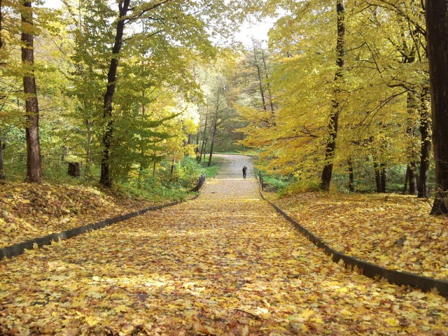 Осень золотая