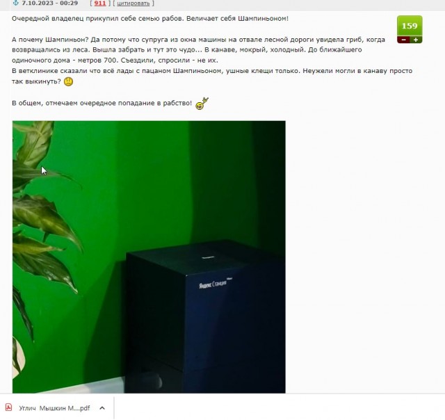 В ряду рабов пополнилось!