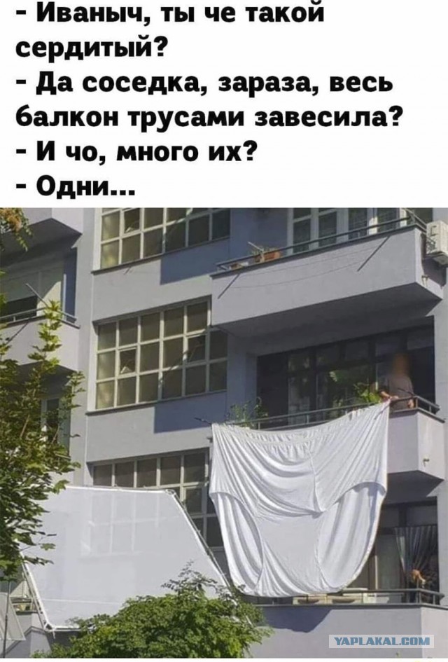 Весёлый полтишок 12.11.23