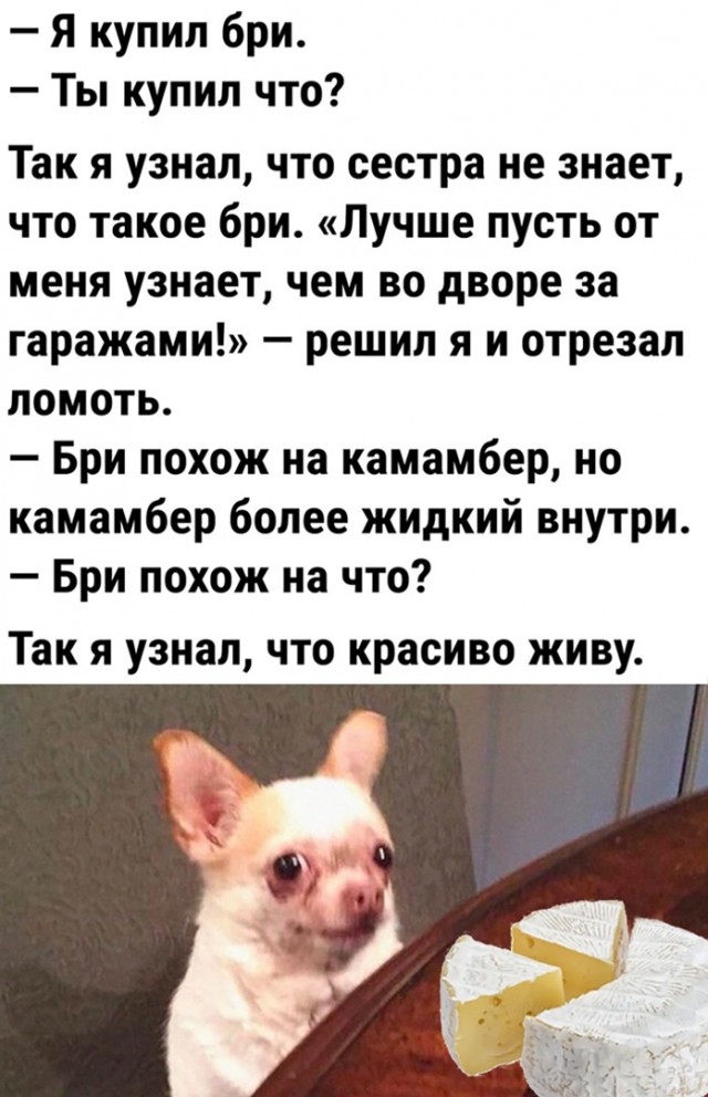Так себе картинки 16.01.24