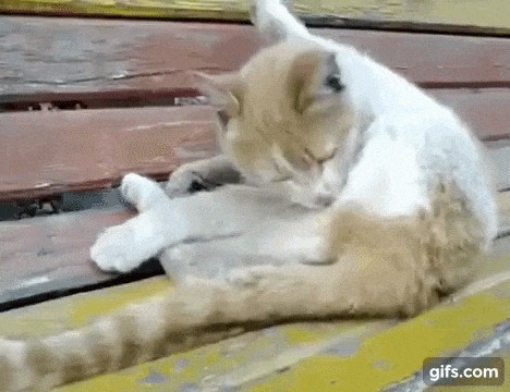 Идеально!