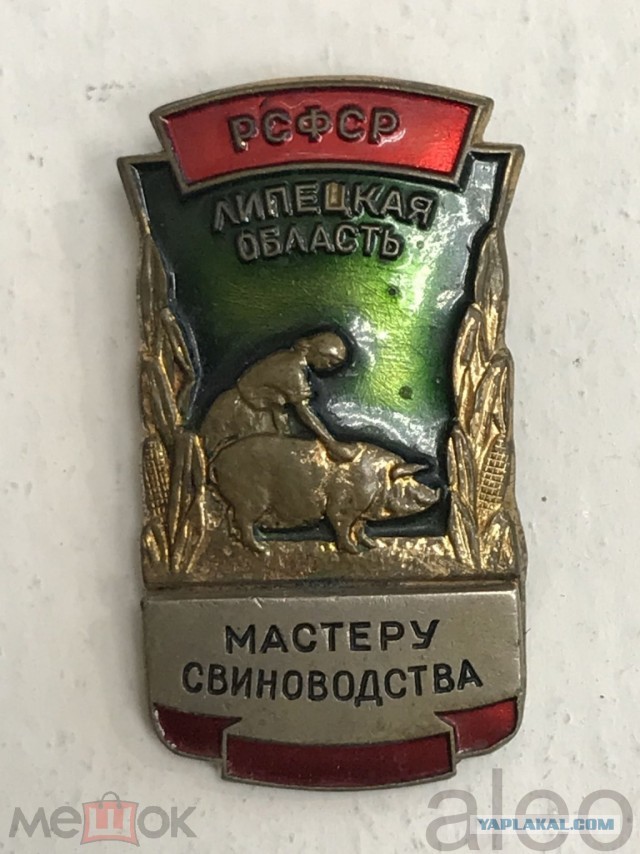 Свиносолдаты. Комикс про ВСУ скандал в Латвии
