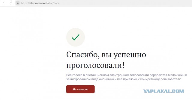 Началось голосование!
