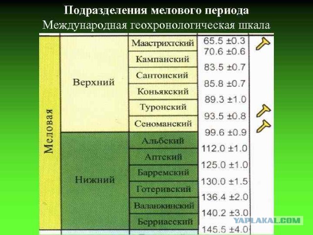 Палеонтология