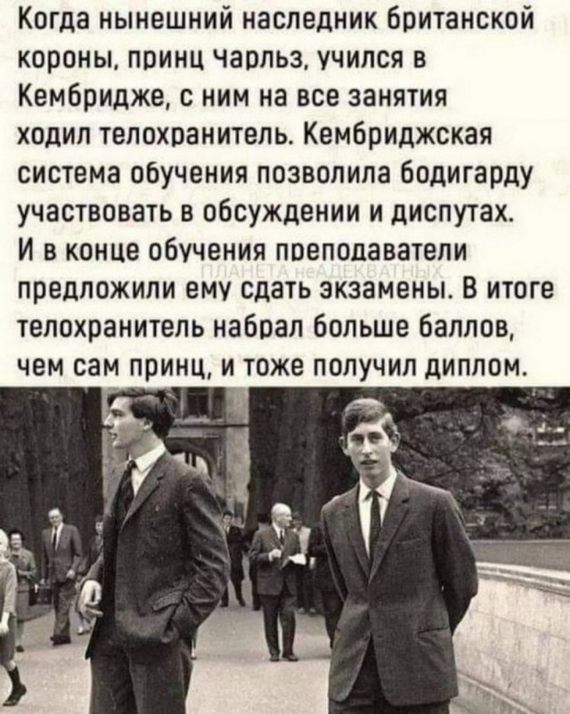 Немного забавных картинок от 18.08.2024