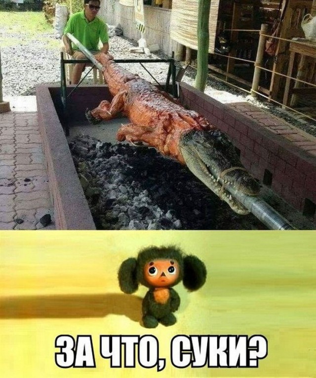 Когда нашёл работу мечты⁠