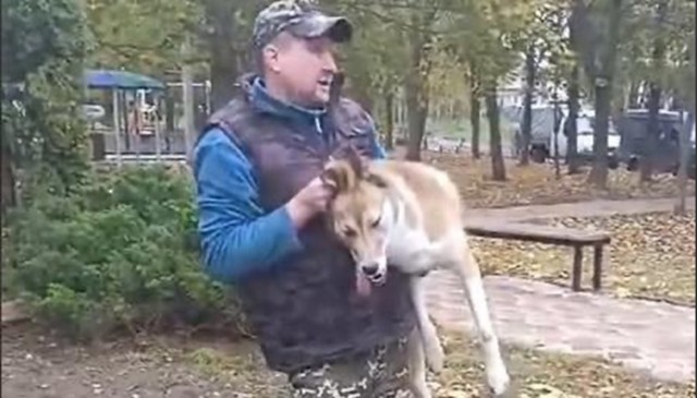 В Тульской области агрессивная бездомная собака набросилась на 3-летнего малыша на детской площадке