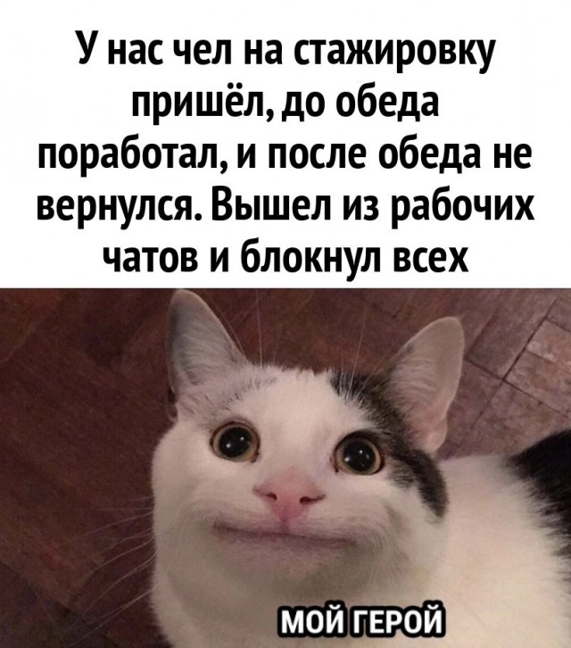 Завалялось тут случайно немного забавных картинок