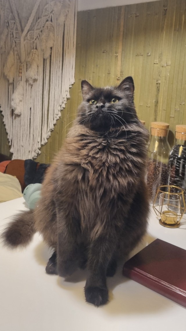 Красивая парочка