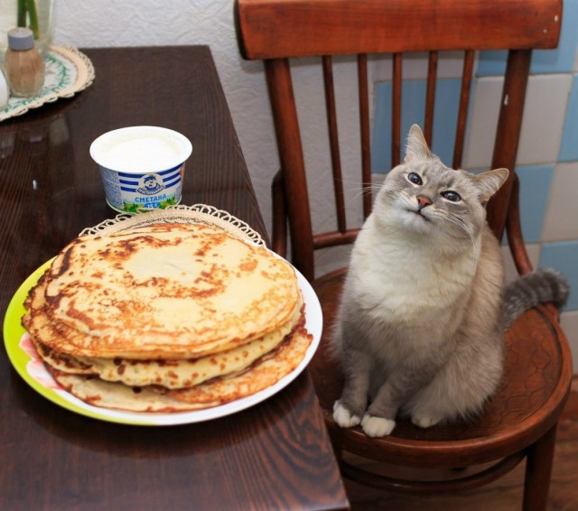 С Масленицей всех!