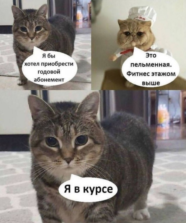 Завалялось тут случайно немного забавных картинок