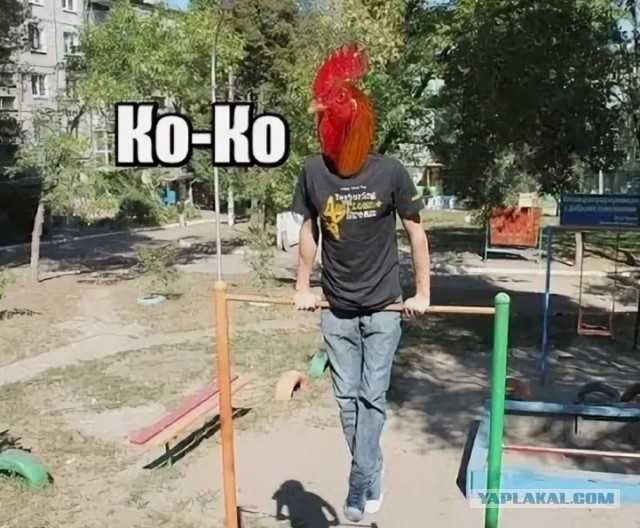 Сосед велосипед купил. Зацените