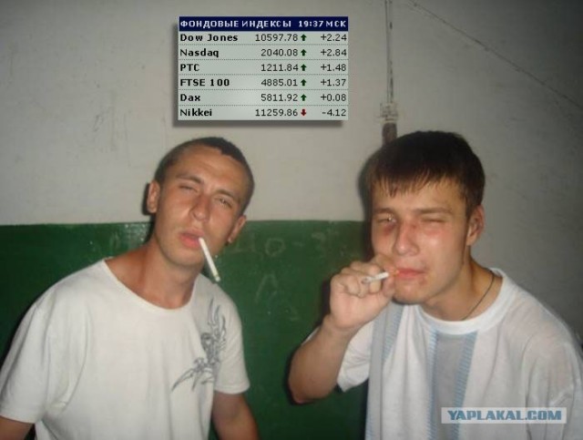 Дикие фото из социальных сетей
