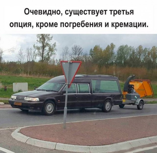 Веселые картинки в маленькую пятницу (20.08)