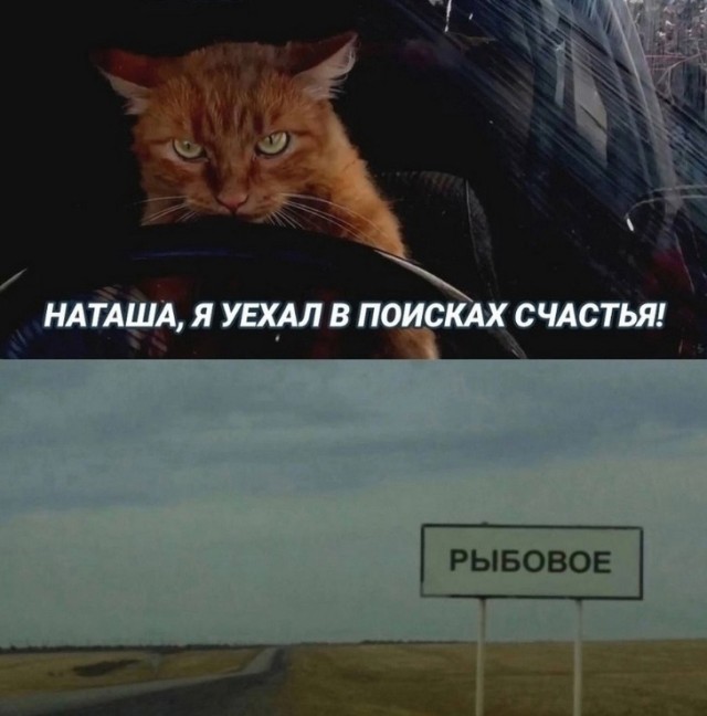 Веселое настроение в картинках (28.09.2025)