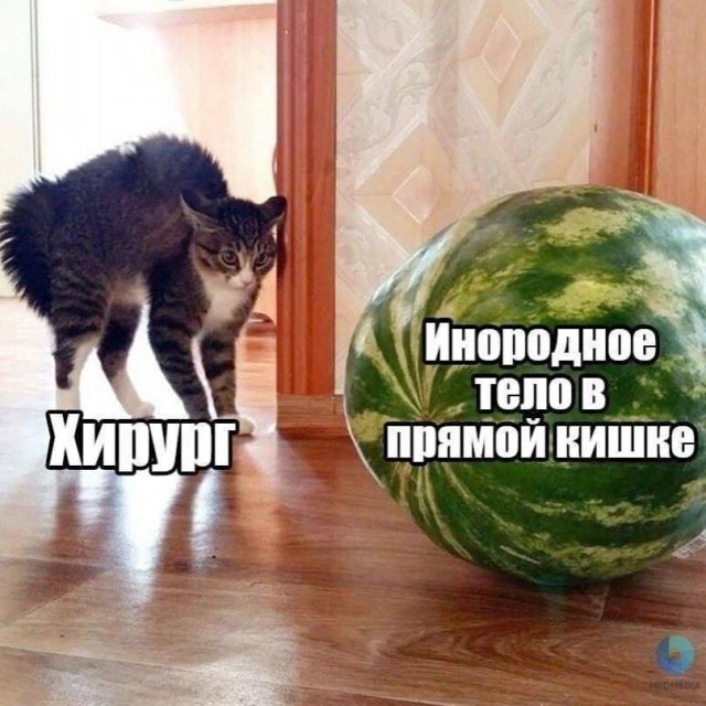 Так себе картинки 01.10.25