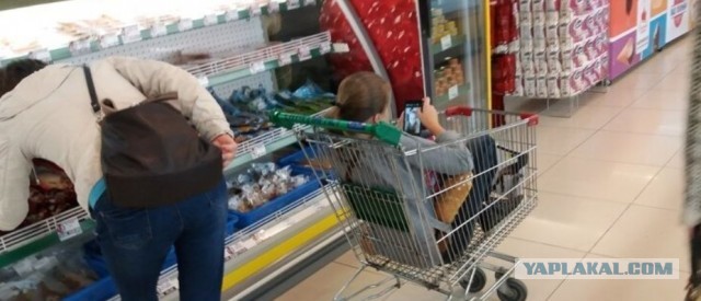 Всем любителям животных. Это норма?