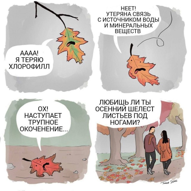 Скоро выходные и ноябрь