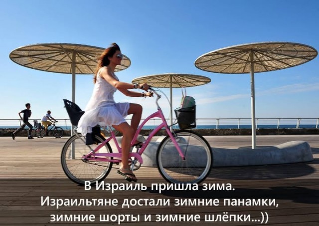 Веселые картинки в маленькую пятницу (19.11)
