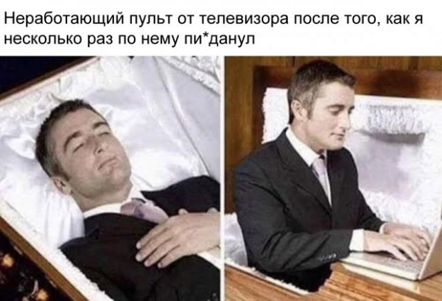 Веселые картинки в пятницу (21.11)